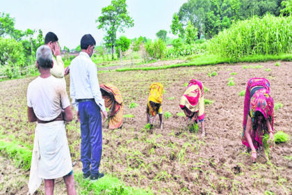 मुजफ्फरपुर को स्वास्थ्य-पोषण और कृषि में पहला स्थान.